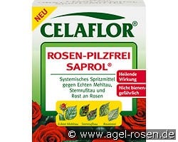 CELAFLOR® Rosen-Pilzfrei Saprol® 250ml (Accessory) Picture of 'CELAFLOR® Rosen-Pilzfrei Saprol® 250ml'
