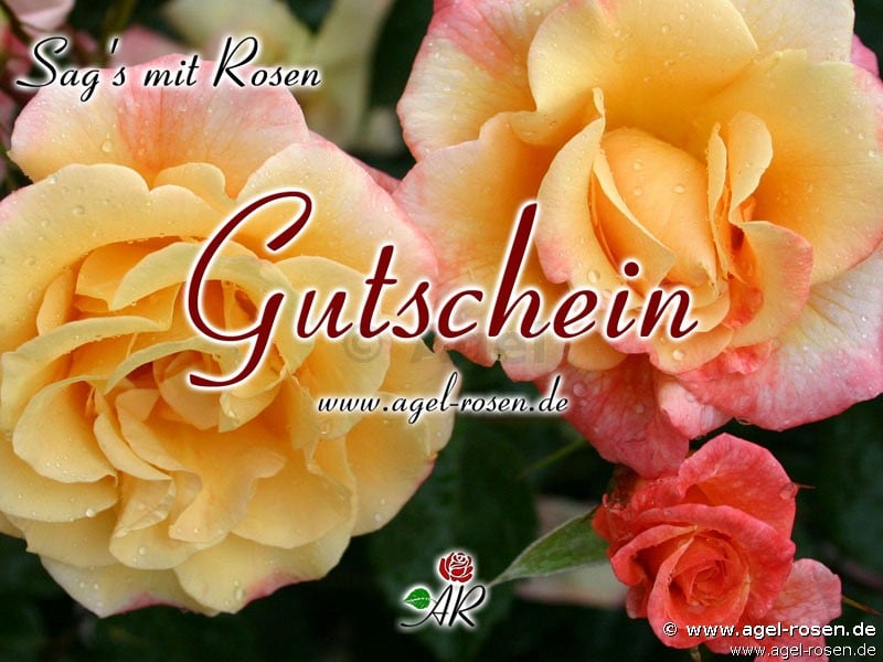 Bild zu '.Gutschein'