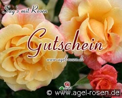 .Gutschein (Accessory) Picture of '.Gutschein'