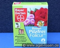 BAYER® Rosen Pilz-frei Folicur® (Zubehör) Bild zu 'BAYER® Rosen Pilz-frei Folicur®'