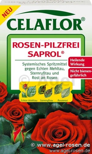 CELAFLOR® Rosen-Pilzfrei Saprol® 250ml (Zubehör) Bild zu 'CELAFLOR® Rosen-Pilzfrei Saprol® 250ml'