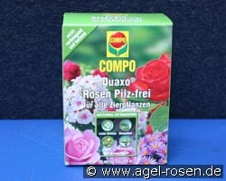 COMPO® Rosen Pilz-frei Duaxo® (Zubehör) Bild zu 'COMPO® Rosen Pilz-frei Duaxo®'