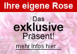 Rosen Geschenk