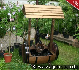 Brunnen Put2 Lieferung innerhalb von 3 Wochen