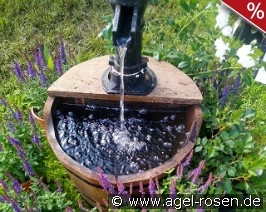 Brunnen WP1 Lieferung innerhalb von 3 Wochen