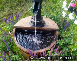 Brunnen WP1 Lieferung innerhalb von 3 Wochen