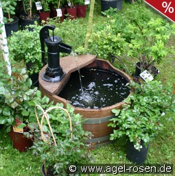 Brunnen WP2 Lieferung innerhalb von 3 Wochen