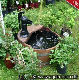 Brunnen WP2 Lieferung innerhalb von 3 Wochen