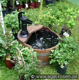 Brunnen WP2 Lieferung innerhalb von 3 Wochen