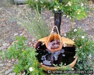 Brunnen WP3a Lieferung innerhalb von 3 Wochen
