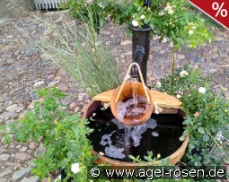 Brunnen WP3a Lieferung innerhalb von 3 Wochen