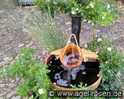 Brunnen WP3a Lieferung innerhalb von 3 Wochen