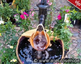 Brunnen WP3b Lieferung innerhalb von 3 Wochen