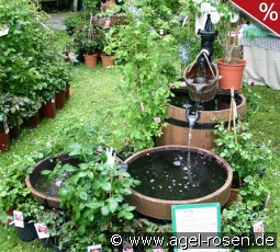 Brunnen WP5 Lieferung innerhalb von 3 Wochen