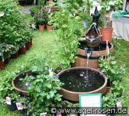 Brunnen WP5 Lieferung innerhalb von 3 Wochen