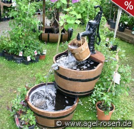 Brunnen WP6b Lieferung innerhalb von 3 Wochen