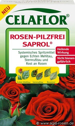 CELAFLOR® Rosen-Pilzfrei Saprol® 250ml