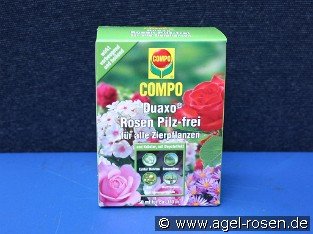COMPO® Rosen Pilz-frei Duaxo®