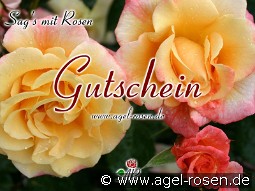 Gutschein