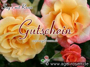 Gutschein