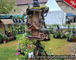 Vogelparadies Harry Potter