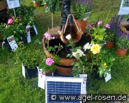 WP3S Solar