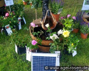 WP3S Solar