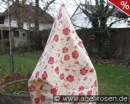 Winterschutz Dittmann 'M'