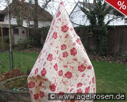 Winterschutz Dittmann 'S'