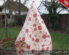 Winterschutz Dittmann 'S'