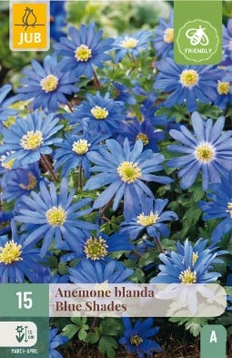 Anemone Blanda Blue Shades kaufen, clicken für mehr Details Anemone Blanda Blue Shades