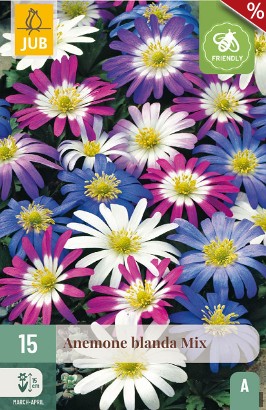 Anemone Blanda Mischung