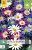 Anemone Blanda Mischung