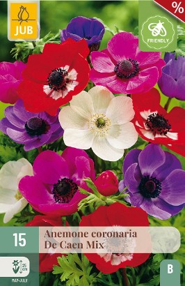 Anemone coronaria De Caen Mix