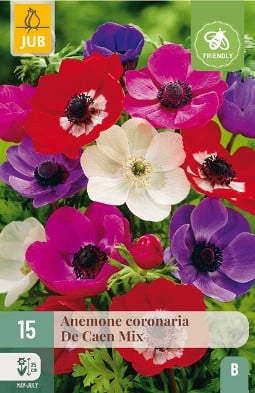 Anemone coronaria De Caen Mix kaufen, click for more details Anemone coronaria De Caen Mix
