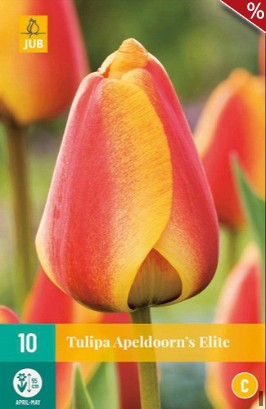 Apeldoorn's Elite