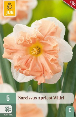 Apricot Whirl