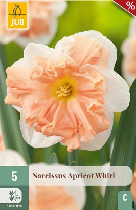 Apricot Whirl