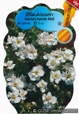 Blaukissen 'Regado White'