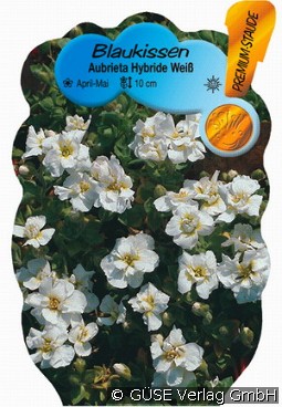 Blaukissen 'Regado White'
