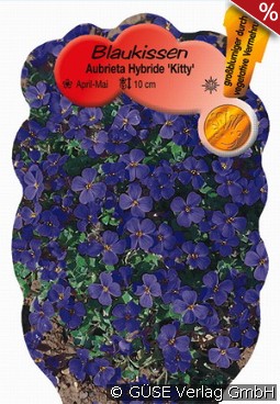 Blaukissen Kitty