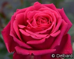 Régis Marcon kaufen, clicken für mehr Details Régis Marcon