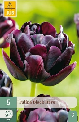 Black Hero kaufen, click for more details Black Hero