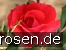 Heidefeuer
