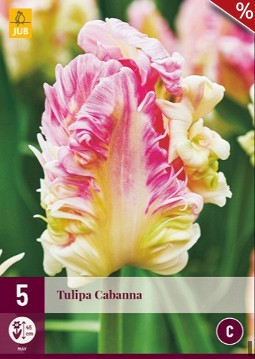 Cabanna