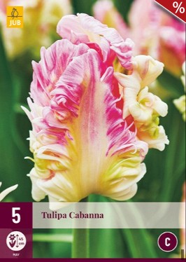 Cabanna