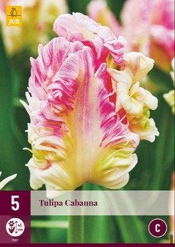 Cabanna