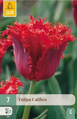 Calibra kaufen, click for more details Calibra