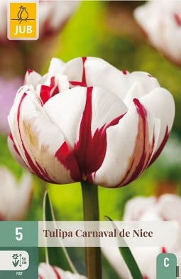 Carnaval de Nice kaufen, click for more details Carnaval de Nice