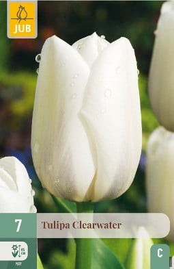 Clearwater kaufen, clicken für mehr Details Clearwater